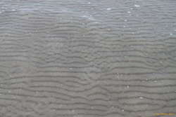 Ripple patterns at Skagen