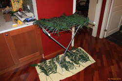 Doing the laundry, Ránargata style