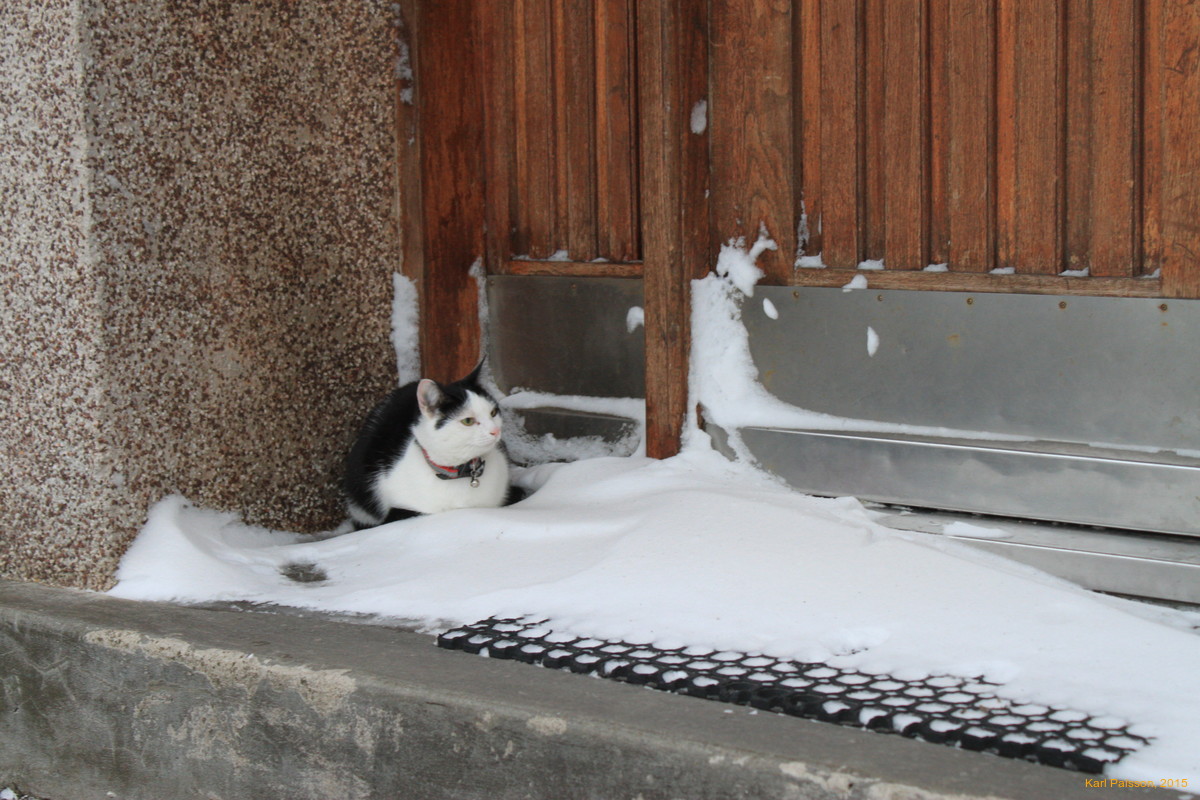  Hiding out or locked out