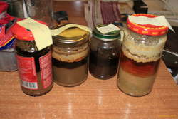 Old yeast collection