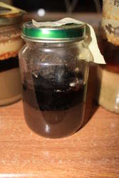 Oldest, with pellicle and vegemite