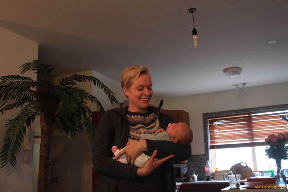 With the palmtree and Aníka