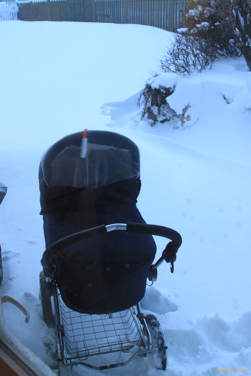 Sleeping in the snow