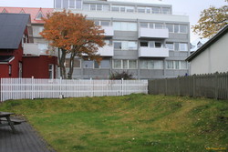 Autumn in our garden