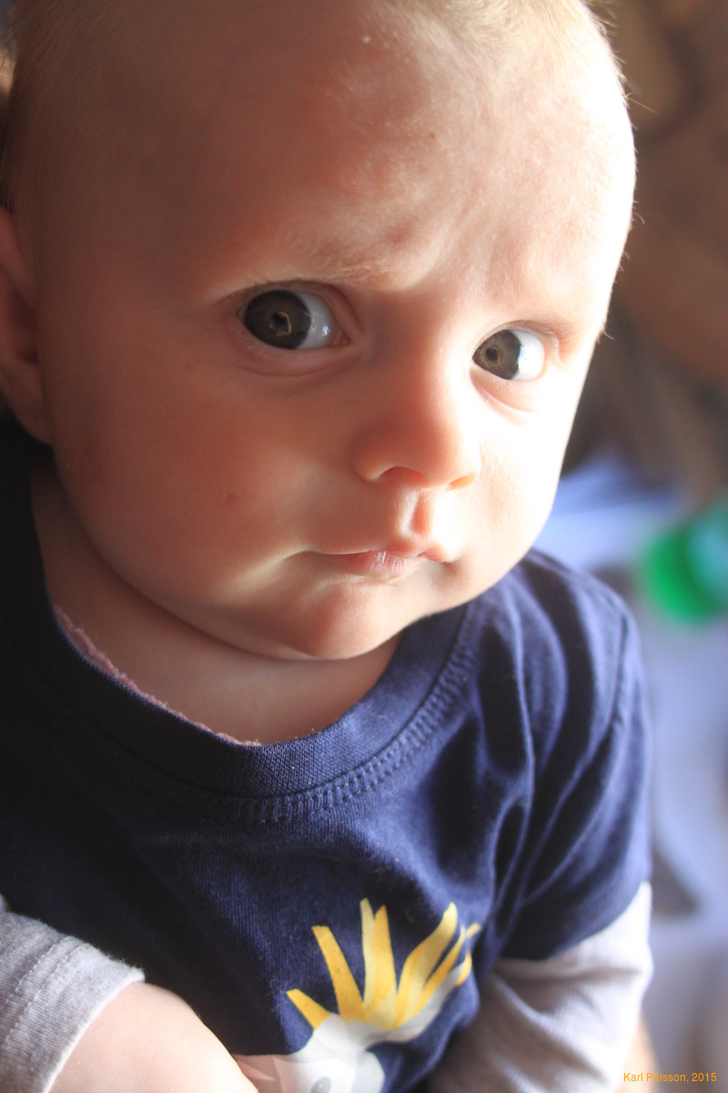 Little girl in the kitchen