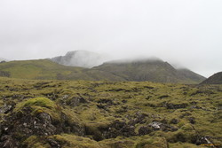Cloudy moss near Trölladyngja