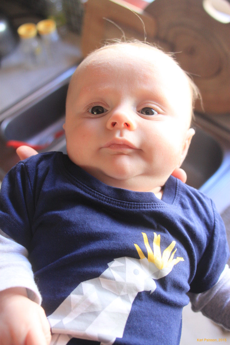 Chilling in the kitchen