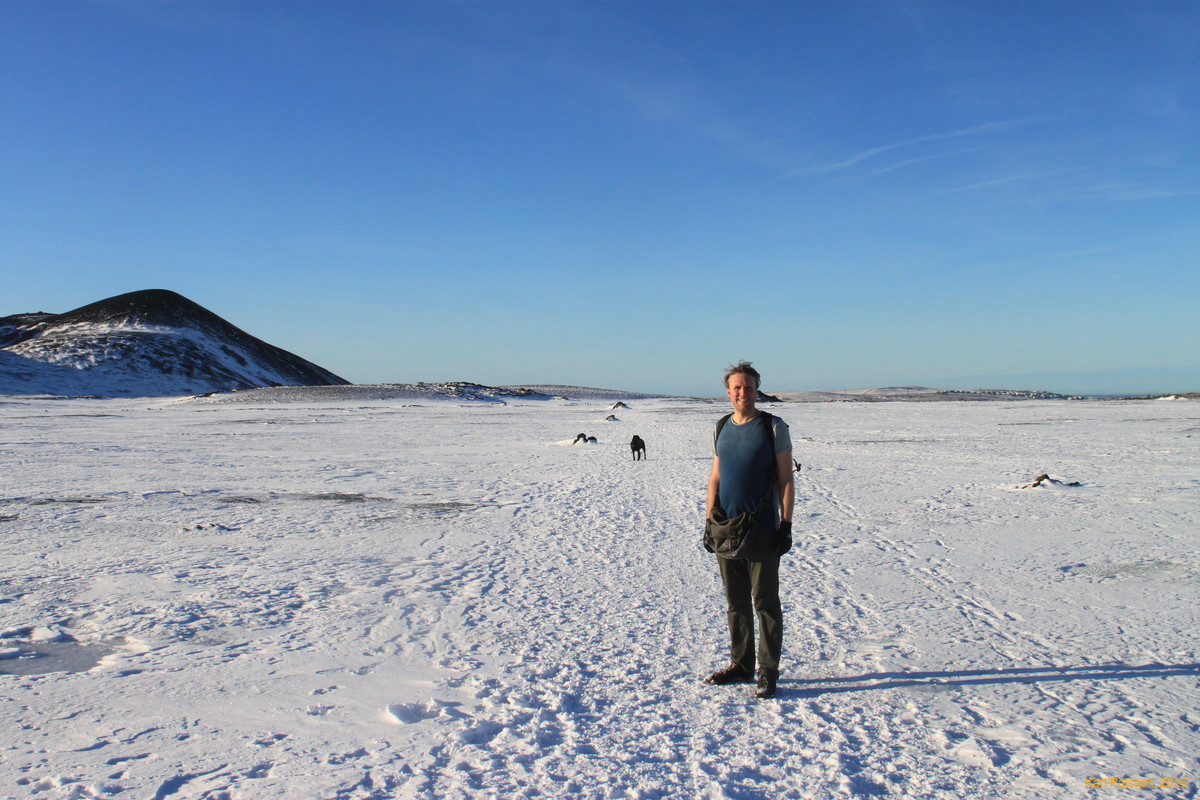 A rare sighting of the Karlos Palssonia (ssp veturna)