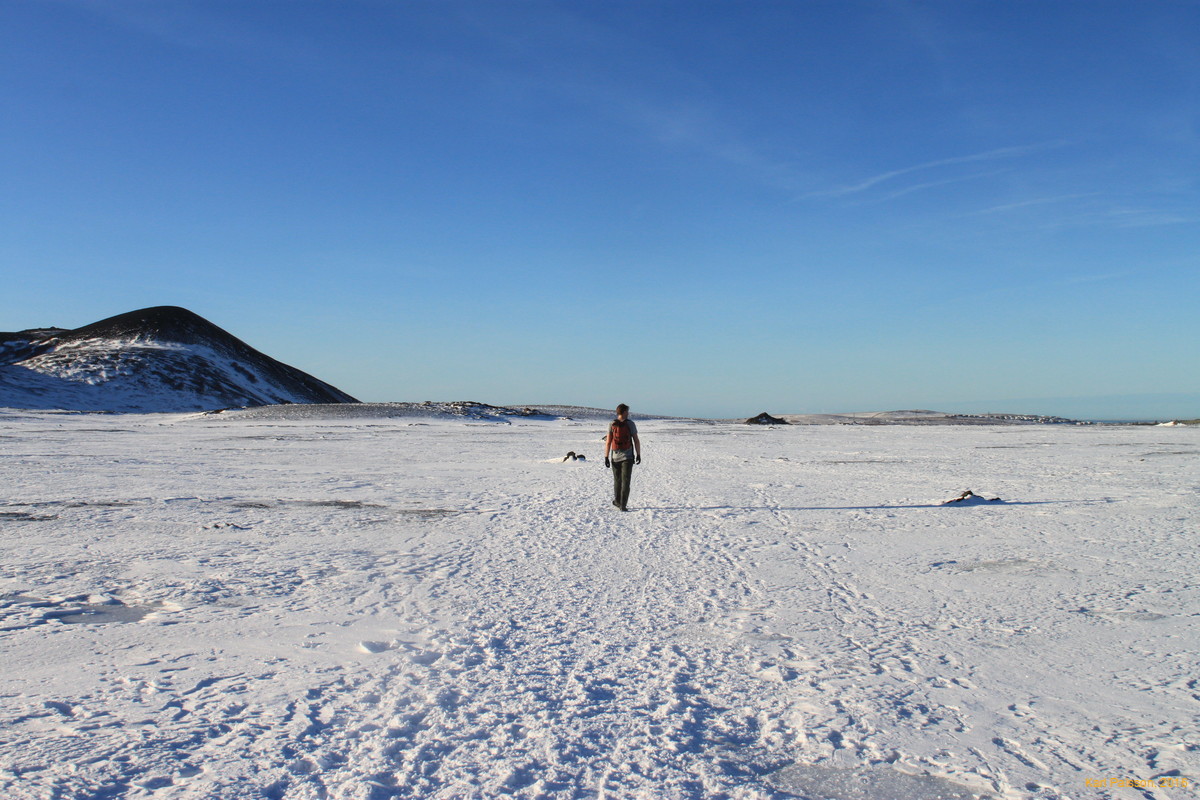 Quick! It's getting away!