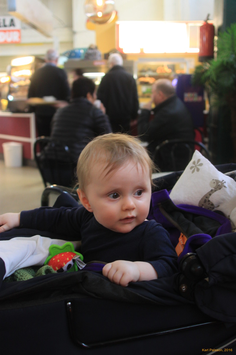 Stella in Kolaportið