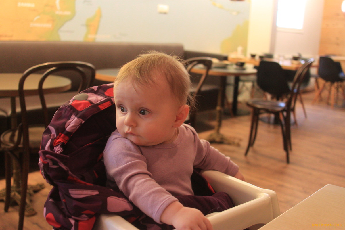 Stella's first cafe trip