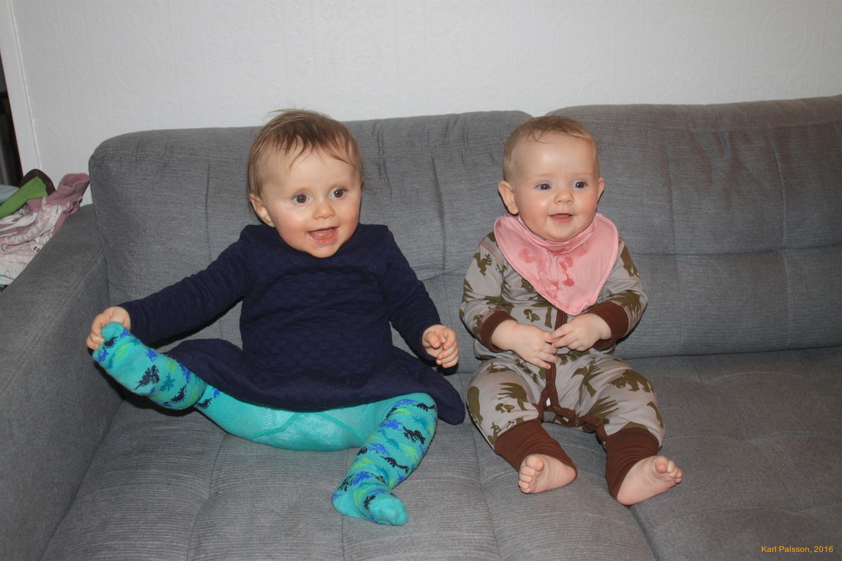 Stella and Vilja Hvönn