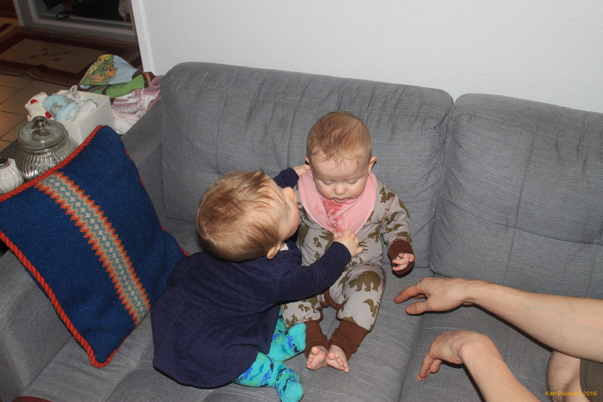 Stella and Vilja Hvönn