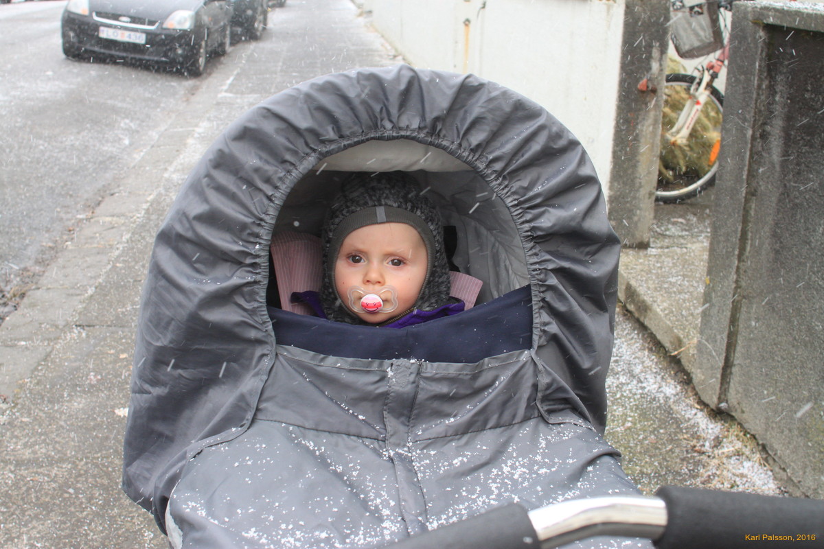 Stella in her chariot