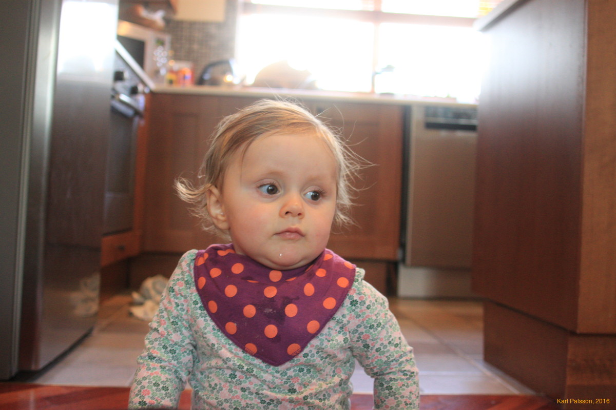 Stella in the kitchen