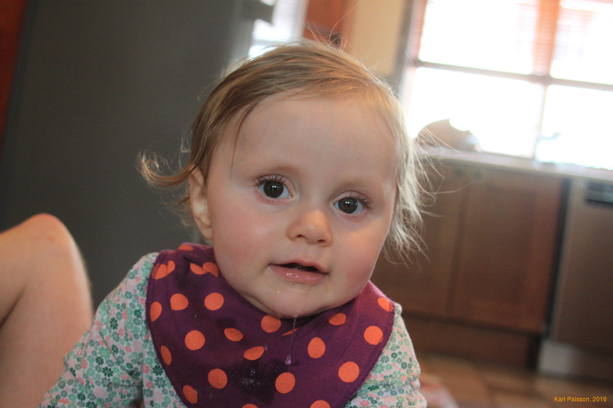 Got drool, will travel