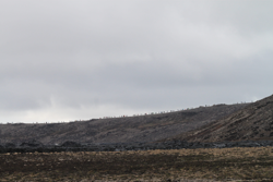 As far as you could see