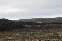 No, really, everywhere